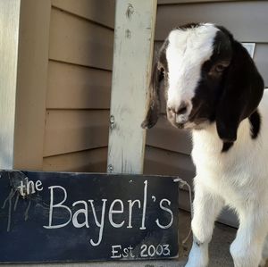 Meet your Posher, Grace